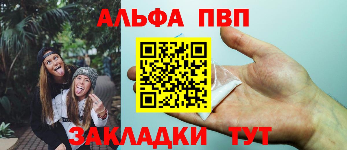 Альфа ПВП СК КРИС Кстово