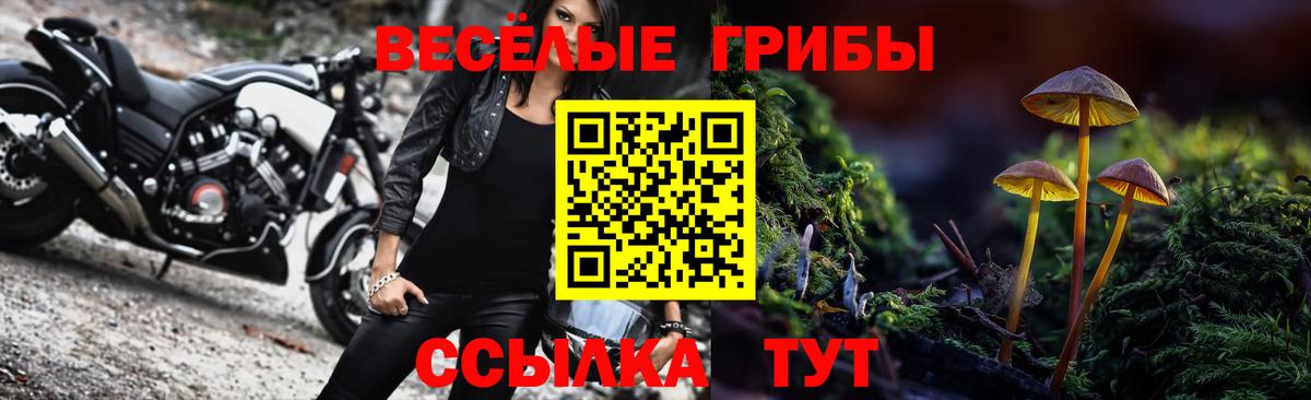Псилоцибиновые грибы Magic Shrooms  купить наркотики цена  Кстово  Вход с VPN 